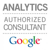 Google Authorized Consultant