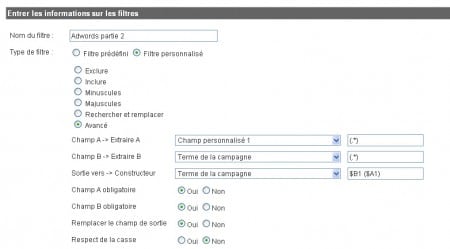2ème filtre Analytics pour les données d'Adwords