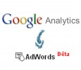 Adwords béta dans Google Analytics Adwords béta dans Google Analytics