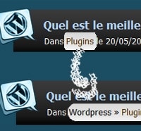 Catégorie parente de The Categorie : Hack Wordpress