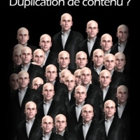Optimisations contre le Duplicate content