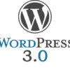 Wordpress 3