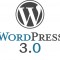 Wordpress 3