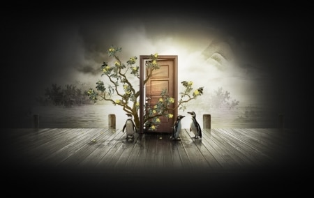 Et hop, un wallpaper pingouin wallpaper pingouin immersive garden