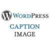 Caption Image WordPress