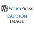 Caption Image WordPress