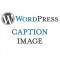 Caption Image WordPress