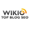 Wikio SEO