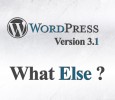 WordPress 3.1 WordPress 3.1