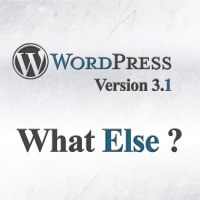 WordPress 3.1