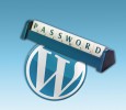 WordPress passwords