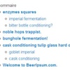 Un exemple de sommaire mis en page sur WordPress