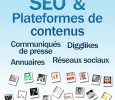 Plateformes de contenus et référencement naturel Plateformes de contenus et référencement naturel