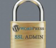 WordPress SSL Admin