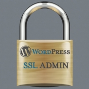 WordPress SSL Admin