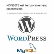 WordPress : erreur SQL et DB-Error.php