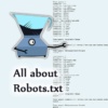 Robots.txt et WordPress