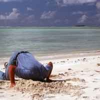 Tête dans le sable
