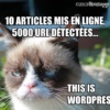 This is WordPress