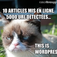 This is WordPress