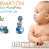 Les problématiques de la formation WordPress