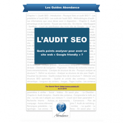 Guide de l'audit SEO