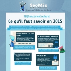 Les conseils SEO 2015