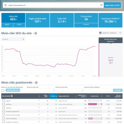 SEO Benchmark yooda insight