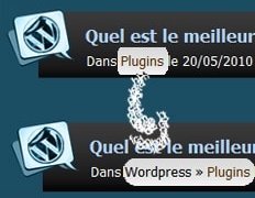 Catégorie parente de The Categorie : Hack Wordpress