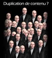 Optimisations contre le Duplicate content