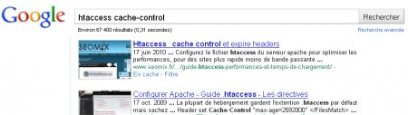 Le snippet de Google