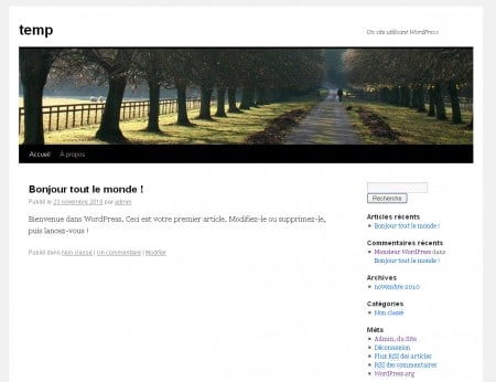 Le thème du CMS WordPress