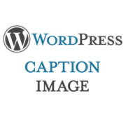 Caption Image WordPress