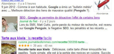 Rich Snippets de Google