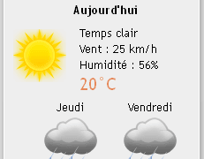 Le plugin Météo de WordPress Weather Layer en vertical