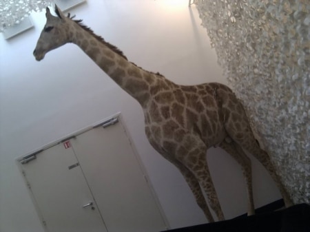 La girafe du WordCamp Paris 2013