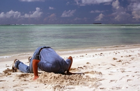 Tête dans le sable