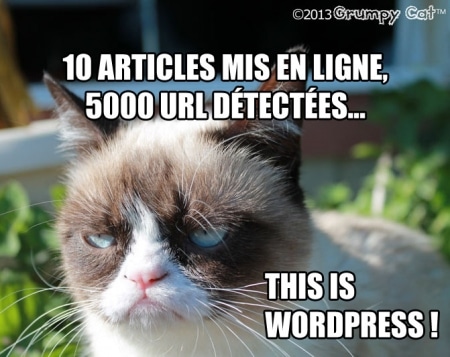 This is WordPress