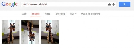 Résultat Google Image avec NoScript