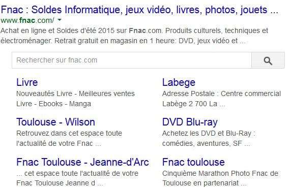 moteur de recherche intrasite