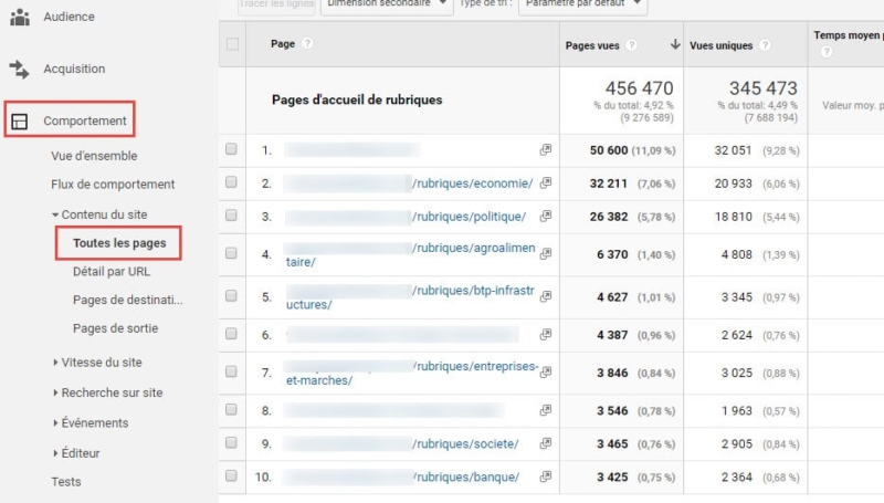 Capture d'écran Rapport Google Analytics toutes les pages