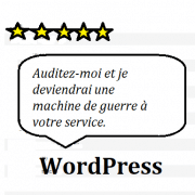 audit seo d'un site sur wordpress