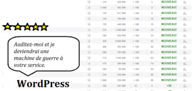 audit seo d'un site sur wordpress