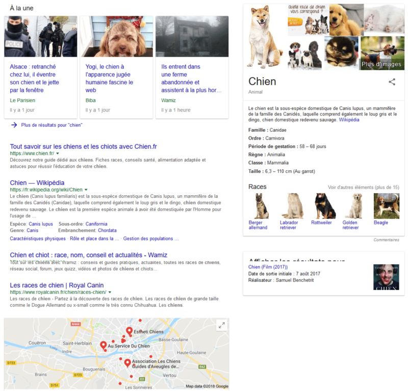 La recherche "Chien" sur Google