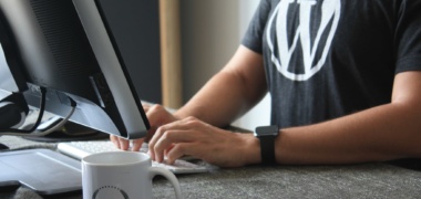 Coder avec des fonctions WordPress utiles