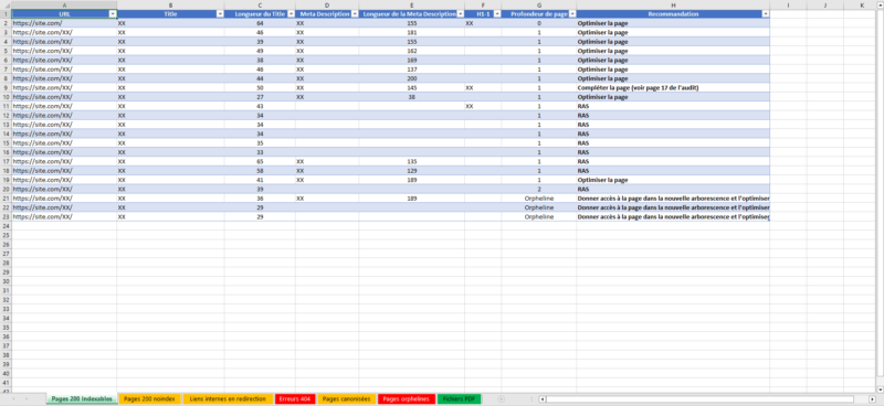 Exemple livrable excel audit technique