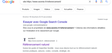 indexation d'une page ou d'une URL sur Google