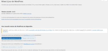maintenance et mise à jour wordpress
